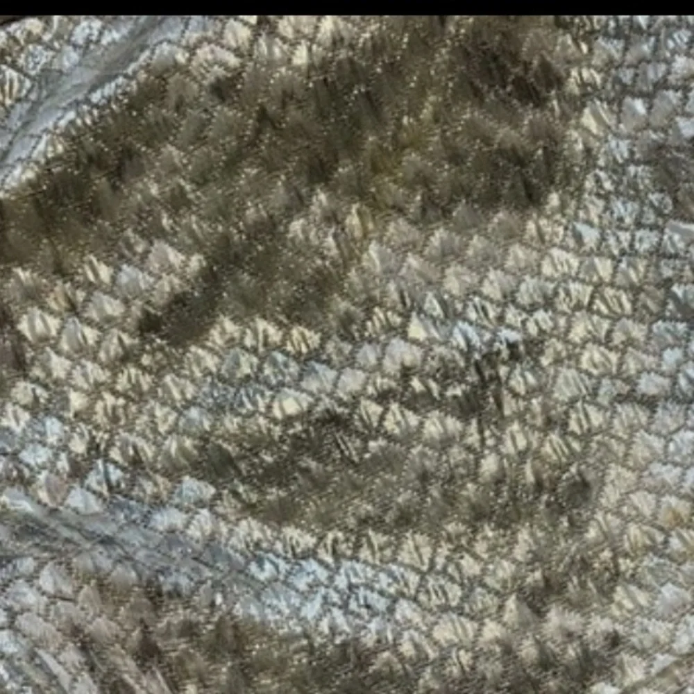 Leifsdottir python snakeskin dress shorts size 8